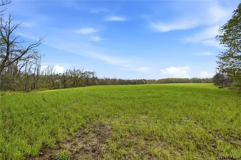 Beaver Road, Alexander, NY 14005 photo 24