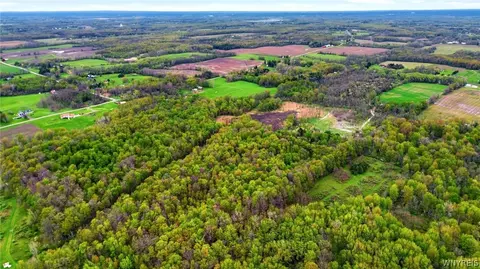 Beaver Road, Alexander, NY 14005 photo 17