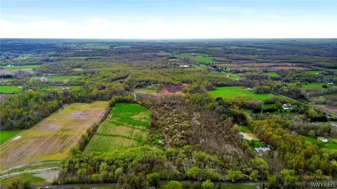 Beaver Road, Alexander, NY 14005 photo 5
