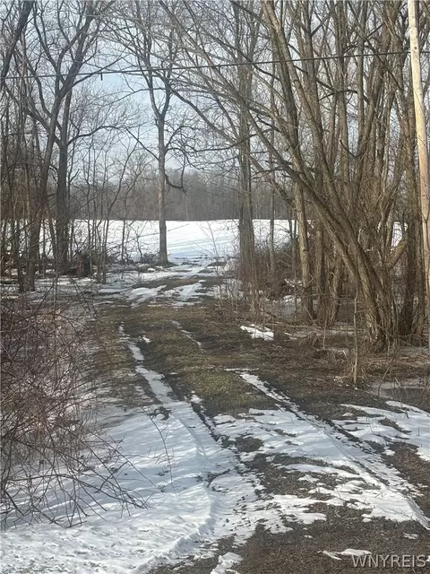 Beaver Road, Alexander, NY 14005 photo 26