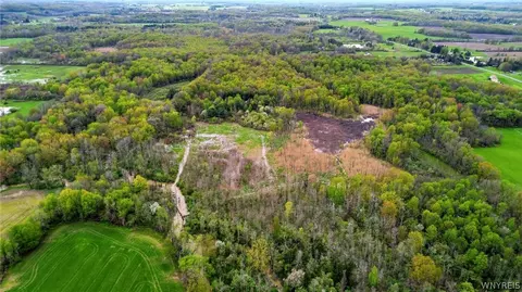 Beaver Road, Alexander, NY 14005 photo 9