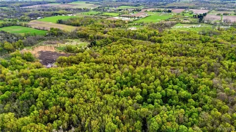 Beaver Road, Alexander, NY 14005 photo 23
