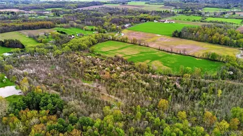 Beaver Road, Alexander, NY 14005 photo 11