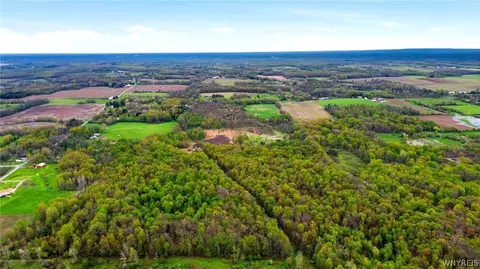 Beaver Road, Alexander, NY 14005 photo 16