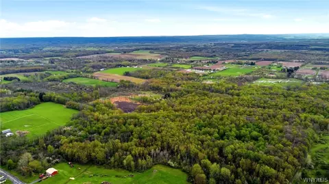 Beaver Road, Alexander, NY 14005 photo 22