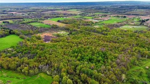 Beaver Road, Alexander, NY 14005 photo 21