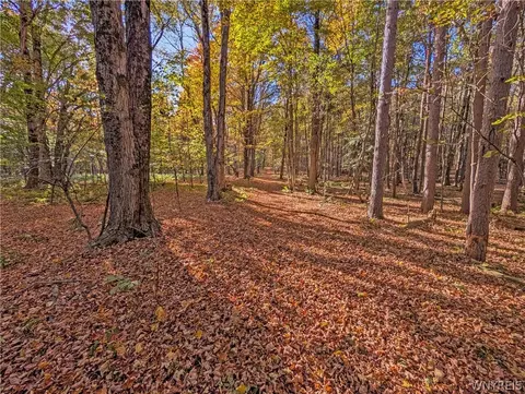 00 Pee Dee Rd, Wethersfield, NY 14024 photo 17