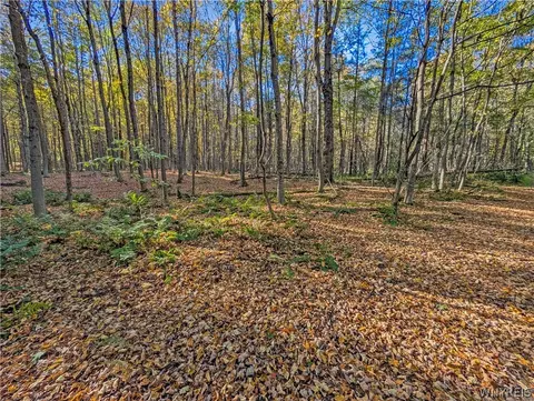 00 Pee Dee Rd, Wethersfield, NY 14024 photo 15