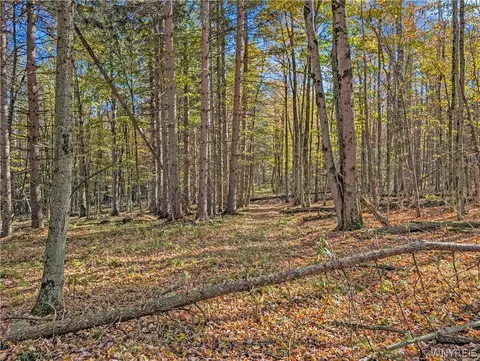 00 Pee Dee Rd, Wethersfield, NY 14024 photo 10