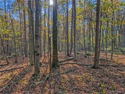 00 Pee Dee Rd, Wethersfield, NY 14024 photo 11