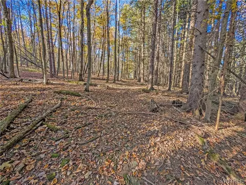 00 Pee Dee Rd, Wethersfield, NY 14024 photo 21