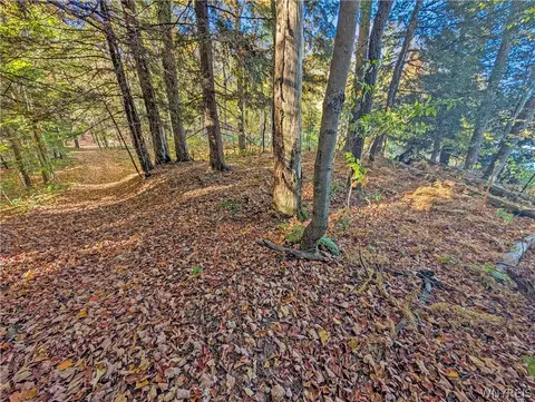 00 Pee Dee Rd, Wethersfield, NY 14024 photo 19