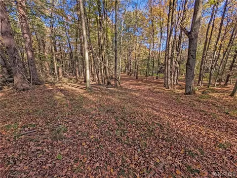 00 Pee Dee Rd, Wethersfield, NY 14024 photo 20