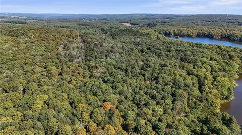 00 Pee Dee Rd, Wethersfield, NY 14024 photo 6