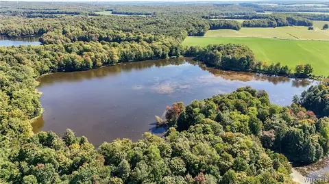 00 Pee Dee Rd, Wethersfield, NY 14024 photo 7