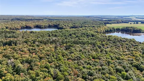 00 Pee Dee Rd, Wethersfield, NY 14024 photo 8