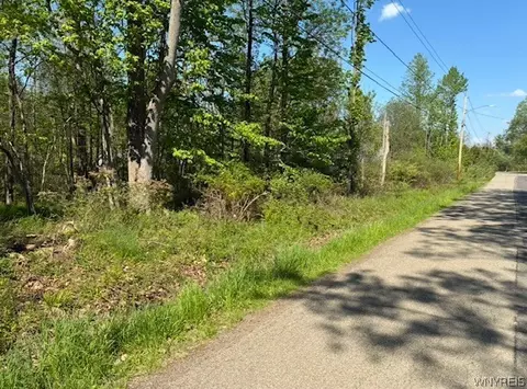 Argyle Avenue, Evans, NY 14006 photo 4