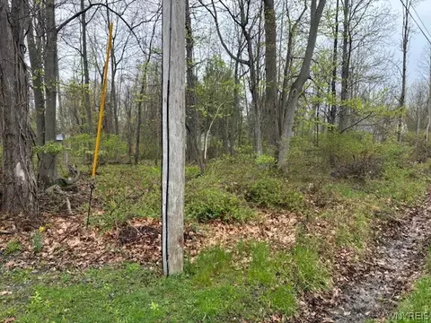 Argyle Avenue, Evans, NY 14006 photo 4