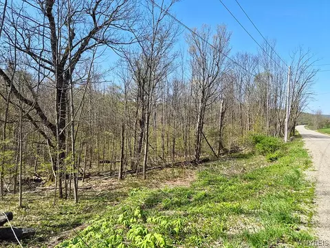 Vl Windsor Road, Mansfield, NY 14779