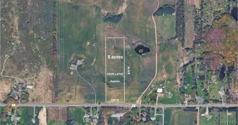 5 Acre Lot Darien Rd, Colden, NY 14080