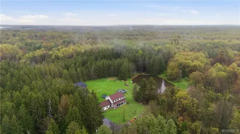 10819 Warner Gulf Rd, Chaffee, NY 14030
