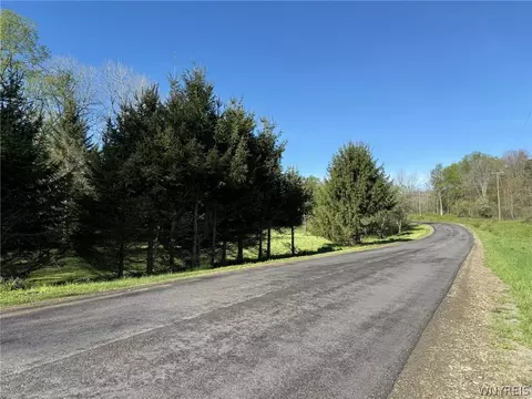 3137 Bear Creek Rd, Franklinville, NY 14737