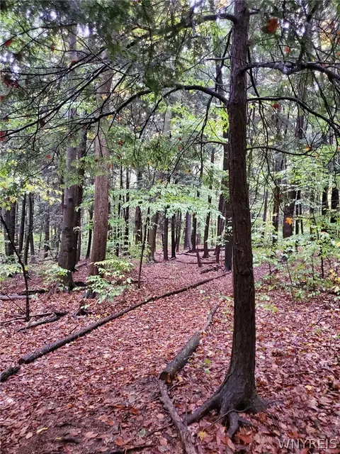 Other - 3816 Hardt Rd, Eden, NY 14057 photo 26 of 27
