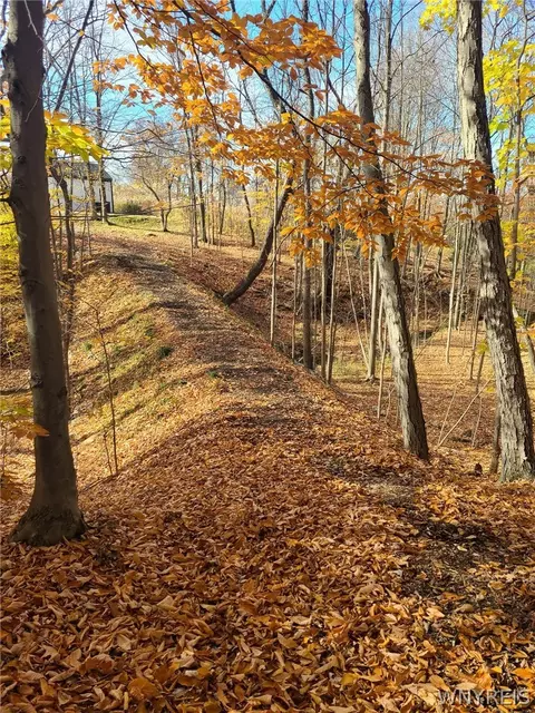 Exterior - 3816 Hardt Rd, Eden, NY 14057 photo 6 of 7