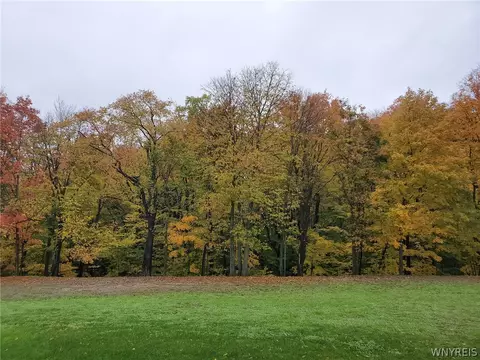 Exterior - 3816 Hardt Rd, Eden, NY 14057 photo 5 of 7