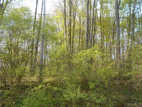 0 Neamon Dr, Yorkshire, NY 14042