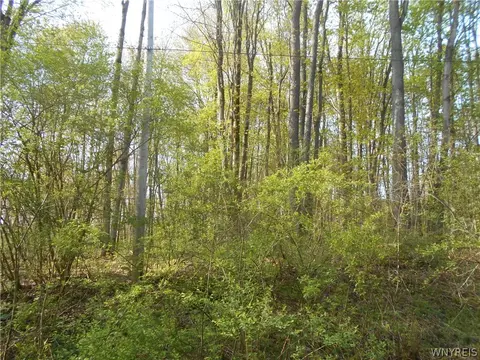 0 Neamon Dr, Yorkshire, NY 14042