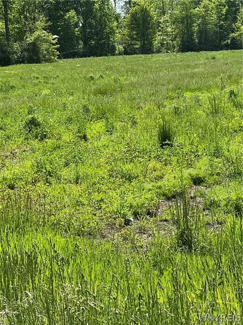3554 3348 Beebe Rd, Wilson, NY 14108