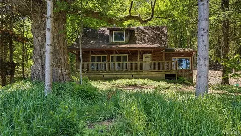 8176 Irish Rd, Colden, NY 14033