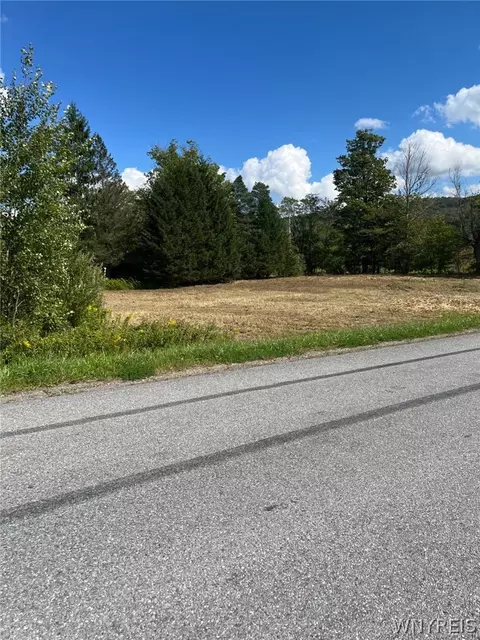 Horn Hill Road, Ellicottville, NY 14731