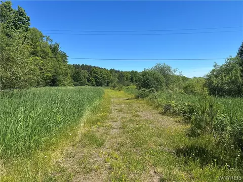 Warner Hill Road, Wales, NY 14169