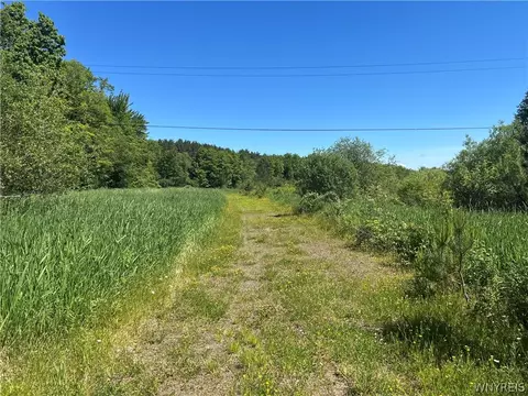Warner Hill Road, Wales, NY 14169