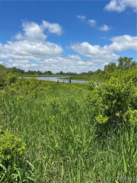 Lost Nations Road, Centerville, NY 14029 photo 10