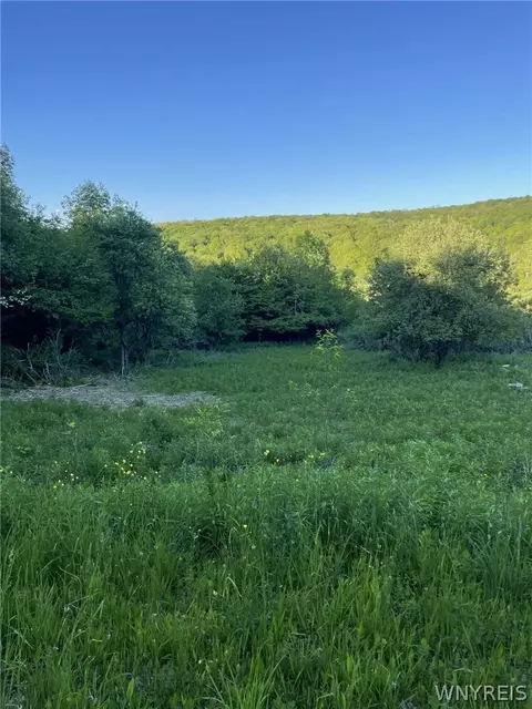 Lost Nations Road, Centerville, NY 14029 photo 2