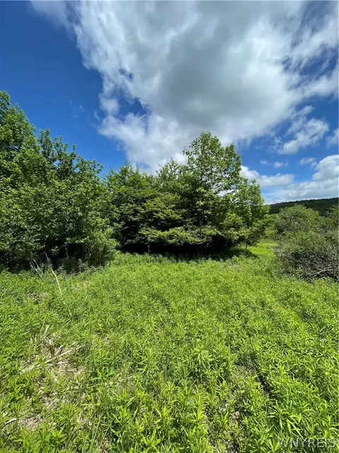 Lost Nations Road, Centerville, NY 14029 photo 5