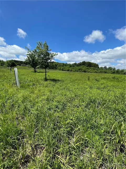 Lost Nations Road, Centerville, NY 14029 photo 13