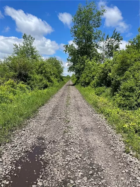 Lost Nations Road, Centerville, NY 14029 photo 11