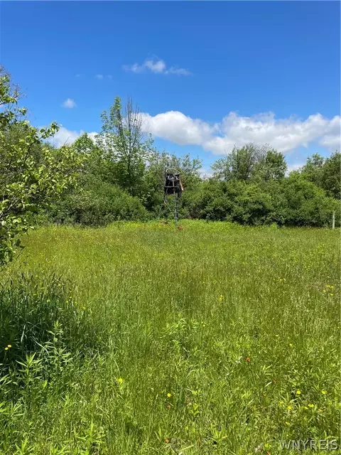 Lost Nations Road, Centerville, NY 14029 photo 8