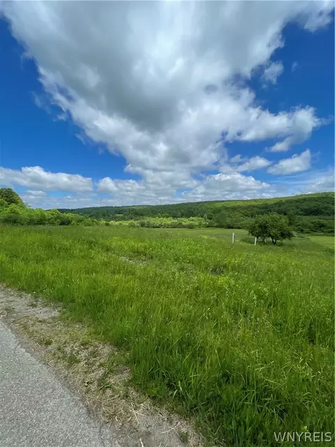 Lost Nations Road, Centerville, NY 14029 photo 3