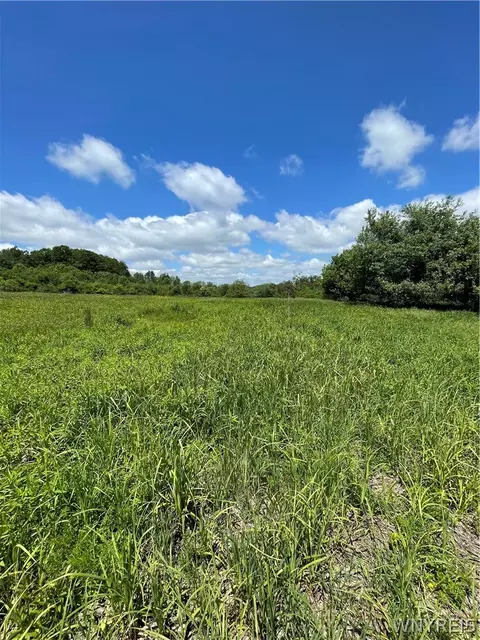 Lost Nations Road, Centerville, NY 14029 photo 12