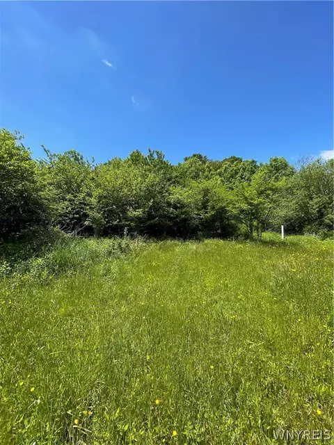 Lost Nations Road, Centerville, NY 14029 photo 9