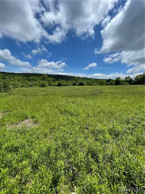 Lost Nations Road, Centerville, NY 14029 photo 6