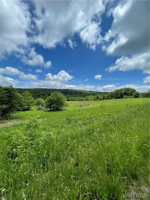 Lost Nations Road, Centerville, NY 14029 photo 4