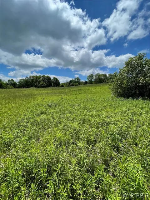 Lost Nations Road, Centerville, NY 14029 photo 7