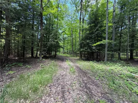 13800 Pritchard Rd, Concord, NY 14141