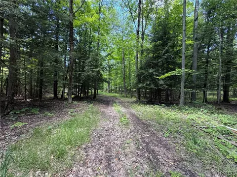 13800 Pritchard Rd, Concord, NY 14141